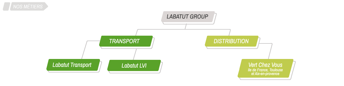 organization chart