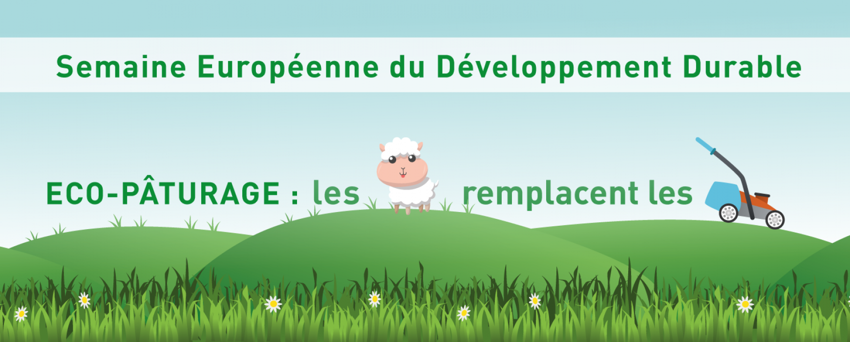 Semaine du Développement Durable : éco-pâturage, les moutons remplacent les tondeuses à Veolog.