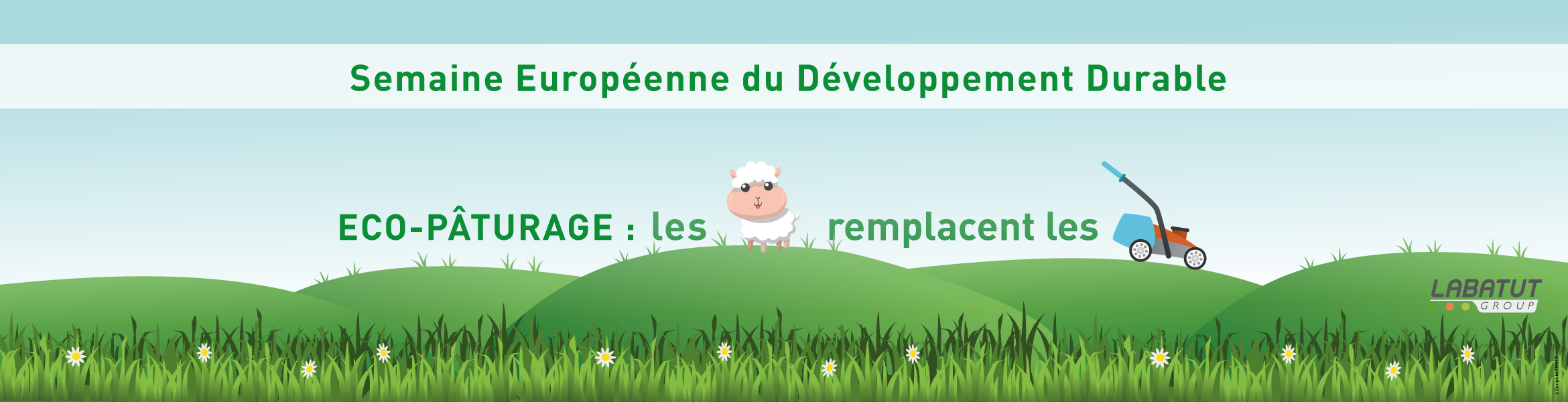 Semaine du Développement Durable : éco-pâturage, les moutons remplacent les tondeuses à Veolog.